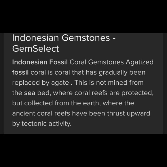 Indonesian Sea Fossil Coral + Tourmaline vintage handcrafted ring - Picture 8 of 9